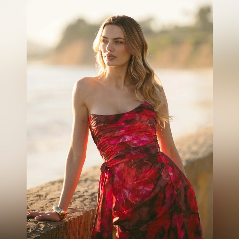 Hutch Julietta Strapless Ruched Maxi Dress - Picture 10 of 10